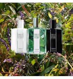 Pour un Homme - Eau de Toilette Pour un Homme - Eau de Toilette